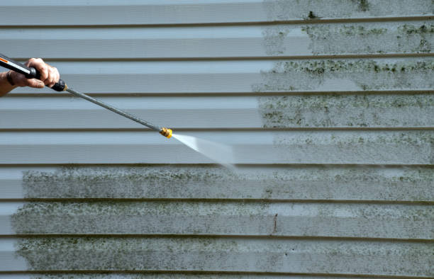 Solar Panel Cleaning in Camden, AR